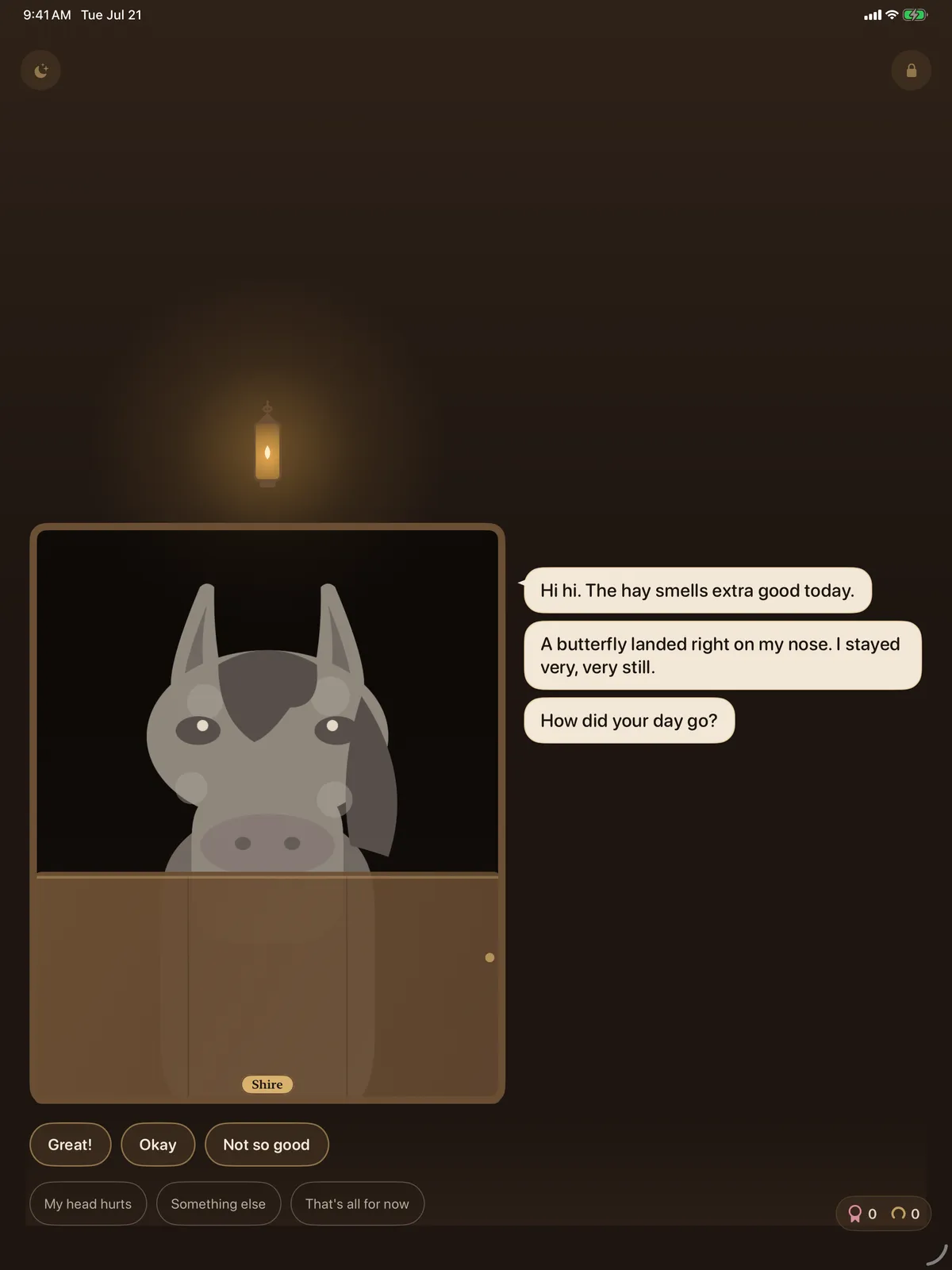 The night stable filling the iPad screen, Shire in his stall beside the conversation